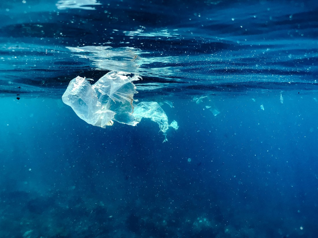 plastic bag floating in water